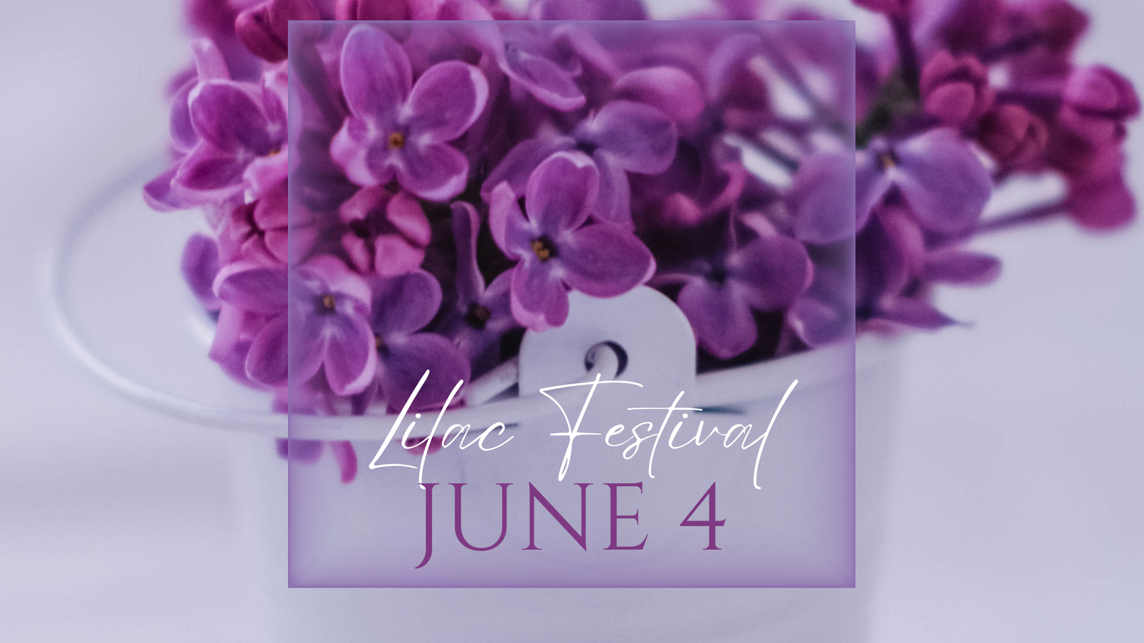 The Delightful Lilac Festival in Calgary A Blossoming Celebration