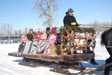 Large fun sleigh ride at Millarville Christmas Market!