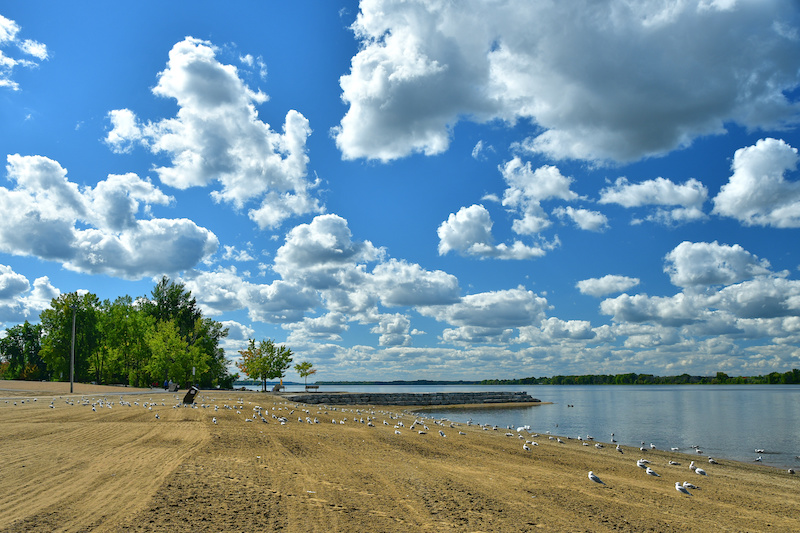 Best Ottawa Beaches: Top 7 Beaches In & Around Ottawa, ON