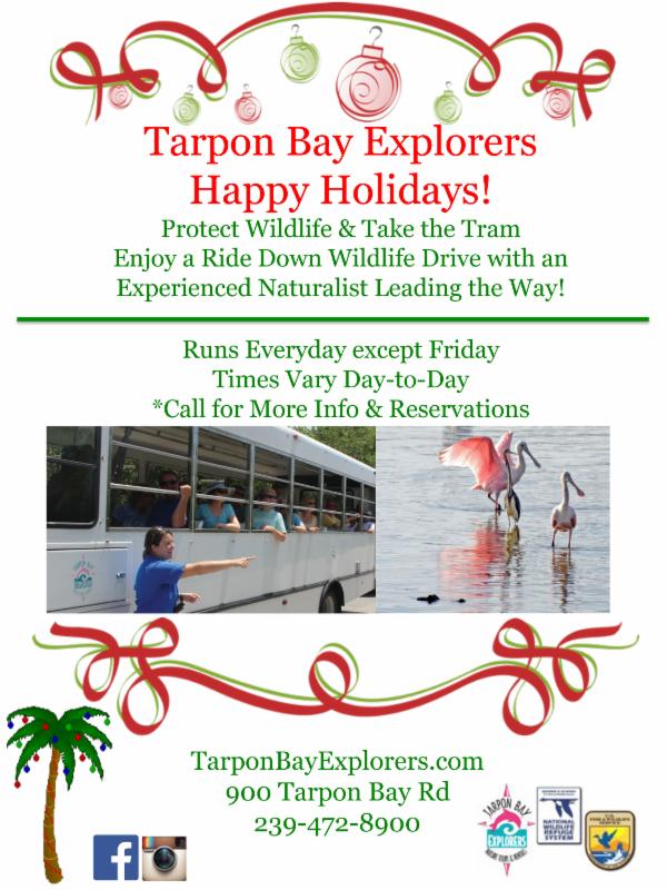 Tarpon Bay Explorers Christmas