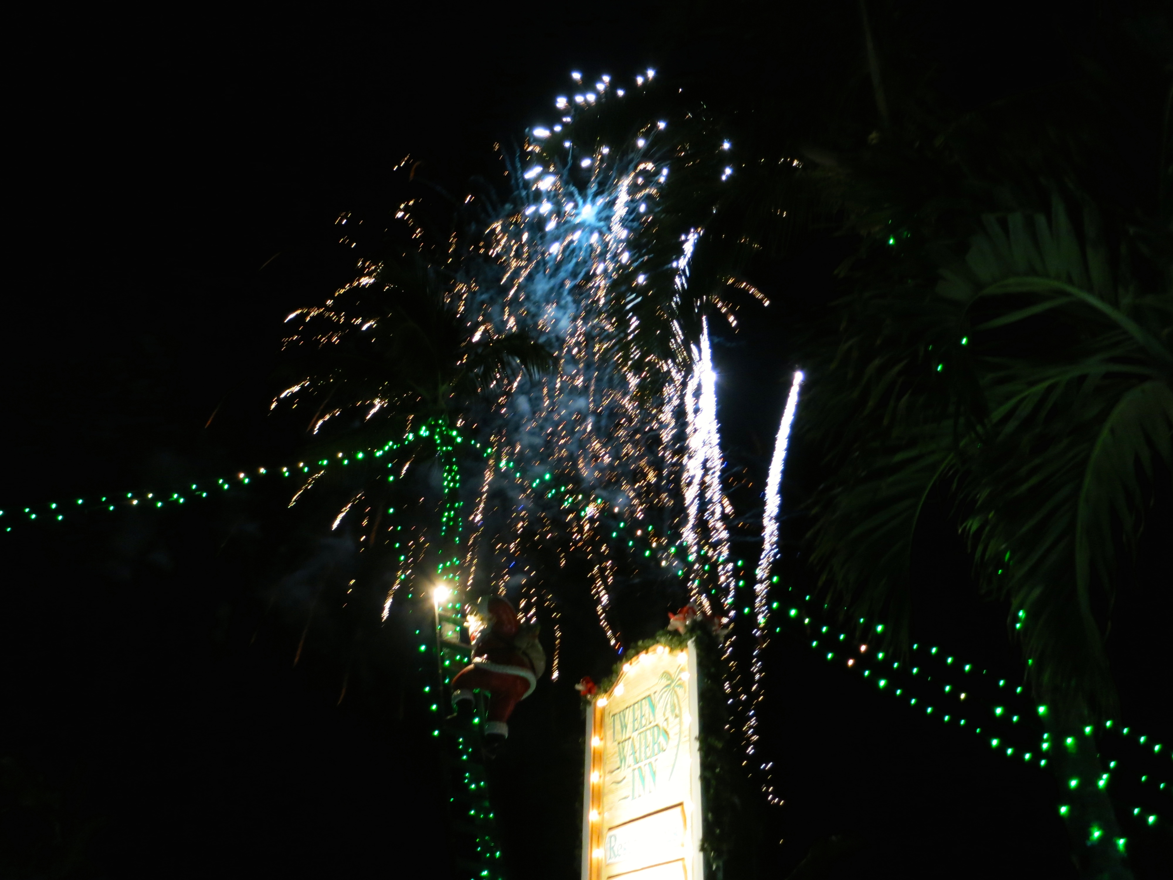 TweenWatersTreeLighting