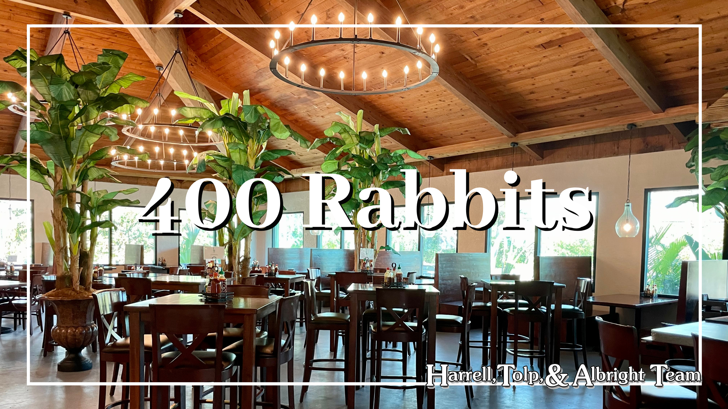 400 Rabbits