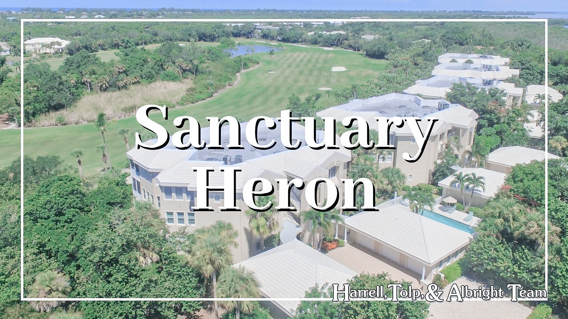 Sanctuary Heron