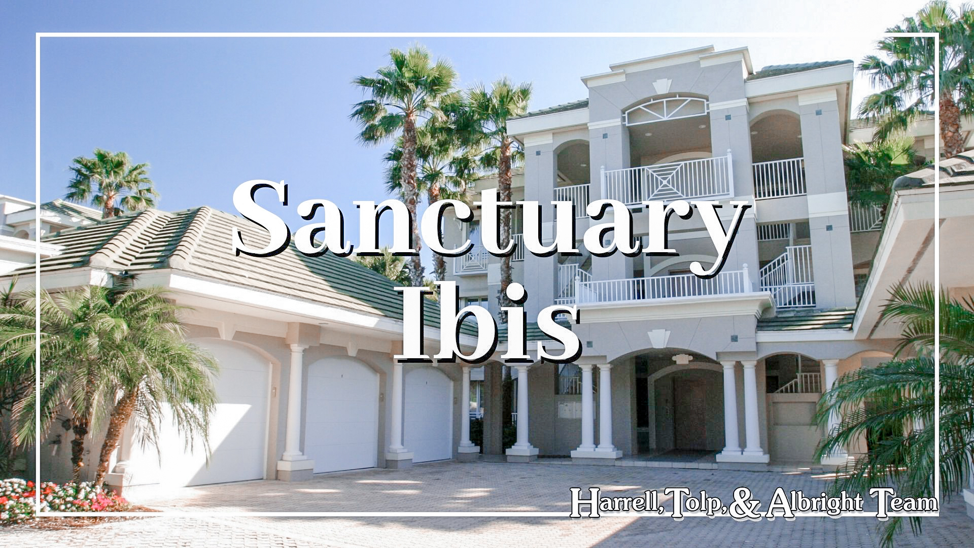 Sanctuary Ibis