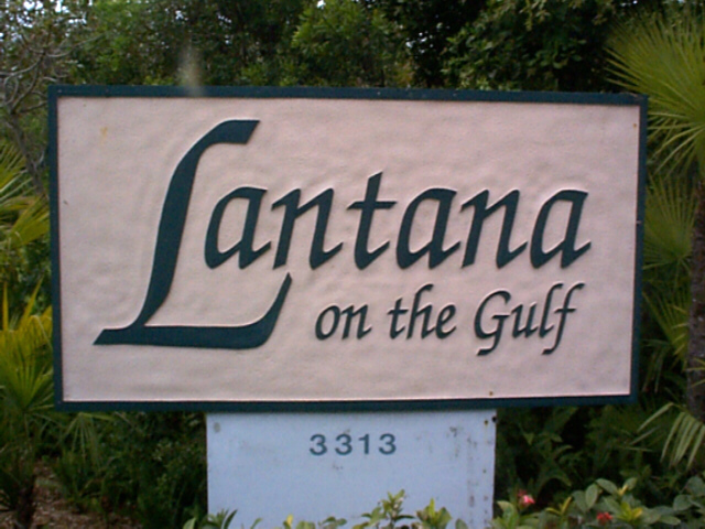 Lantana Lantana