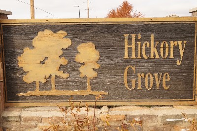 Hickory Grove Homes for Sale Hickory Grove Homes for Sale
