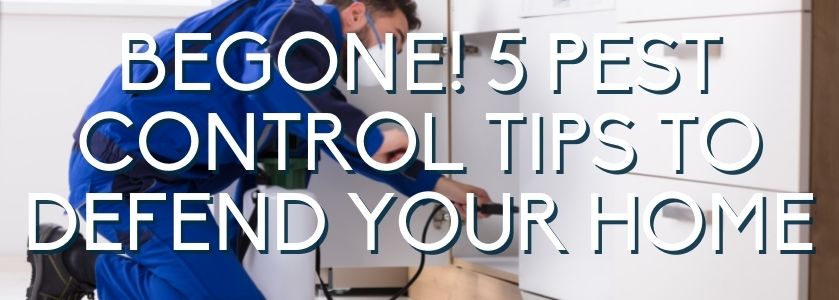 pest control tips for your boca home