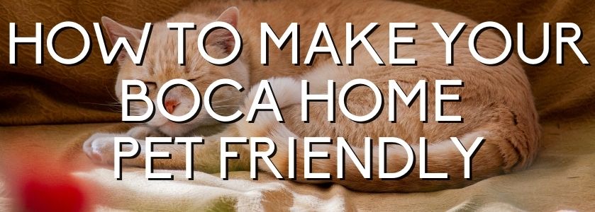 how to make your boca home pet friendly
