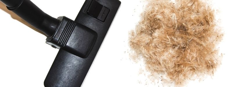 A vacuum next to a pile of animal hair 