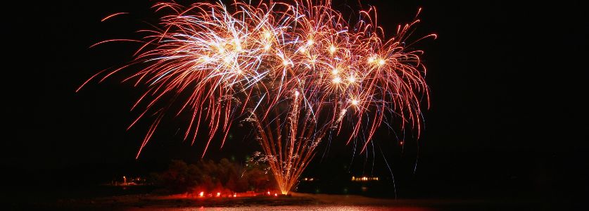 Beautiful Fireworks In Grassy Field 