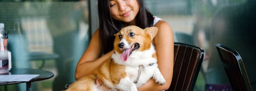 cute dog with smiling girl at restaurant