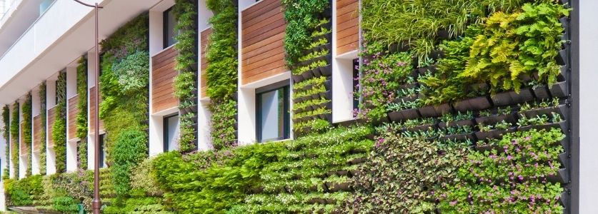 living wall
