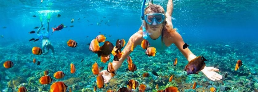 snorkeling at red reef snorkeling at red reef