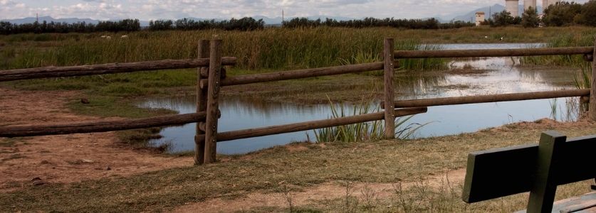 standing water