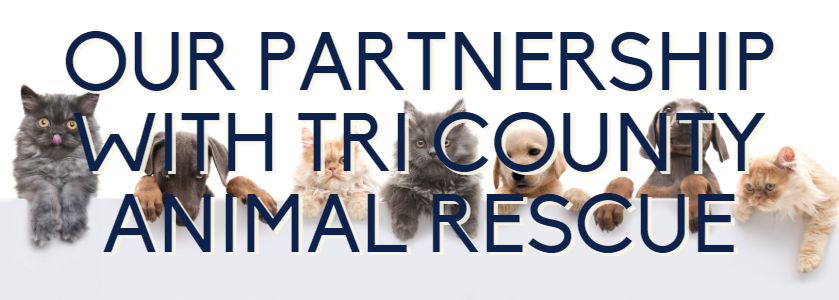 our partnership with tri county animal rescue 
