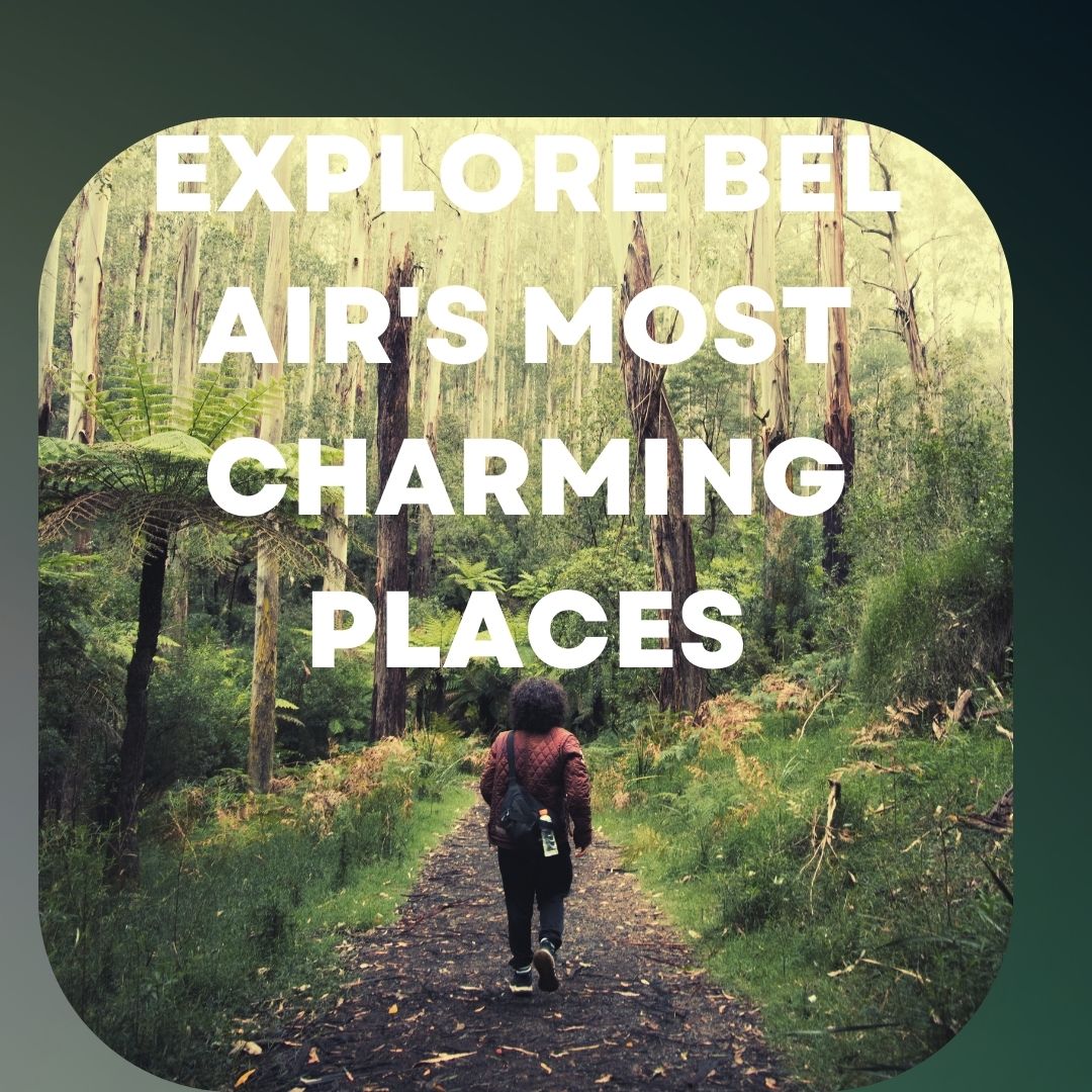 Explore Bel Air's Most Charming Places