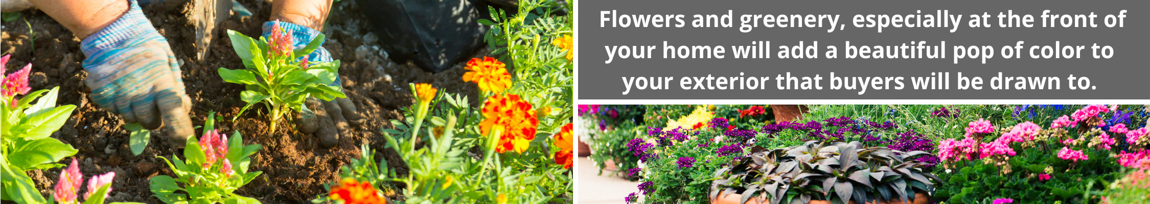 Flowers and greenery will add a pop of color to your front yard