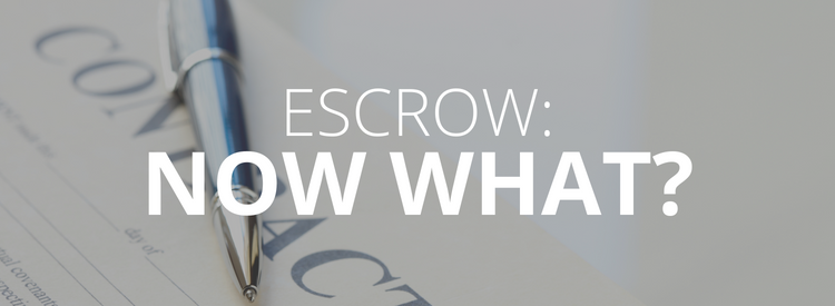 What happens in escrow?
