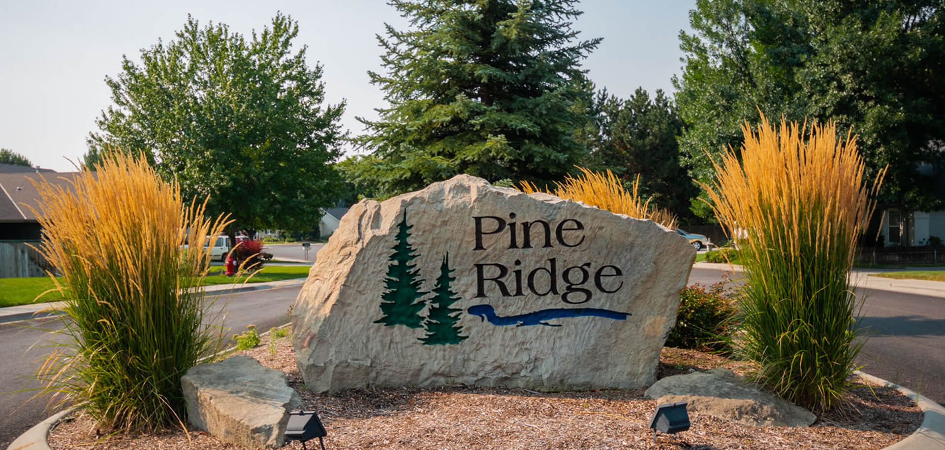 Pine Ridge Subdivision Eagle ID