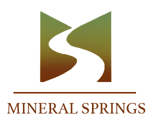 Mineral Springs Community logo