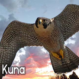 Kuna New Subdivisions