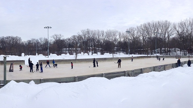 Badger Park Hockey Rink - Shorewood MN