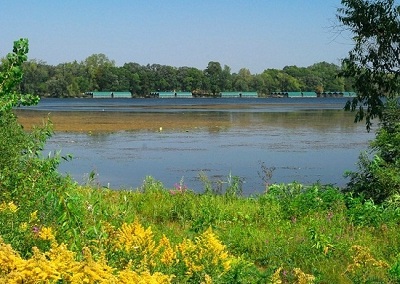 Grays Bay - Lake Minnetonka