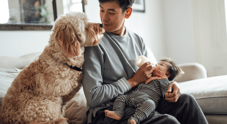 Owning a home isn’t just a financial milestone—it’s a deeply personal journey that brings pride, comfort, and a sense of belonging. While the financial benefits are undeniable, let’s reflect on the emotional rewards that make a house truly feel like home.
