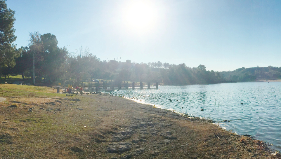picture of of the Lake in Bonelli Park San Dimas CA