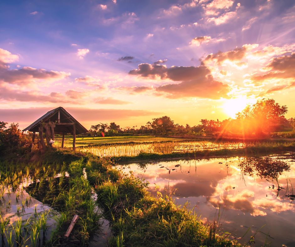 Benefits of Owning a Home on an Acreage Lot Benefits of Owning a Home on an Acreage Lot