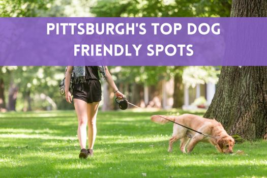 Pittsburgh's Top Dog Friendly Spots