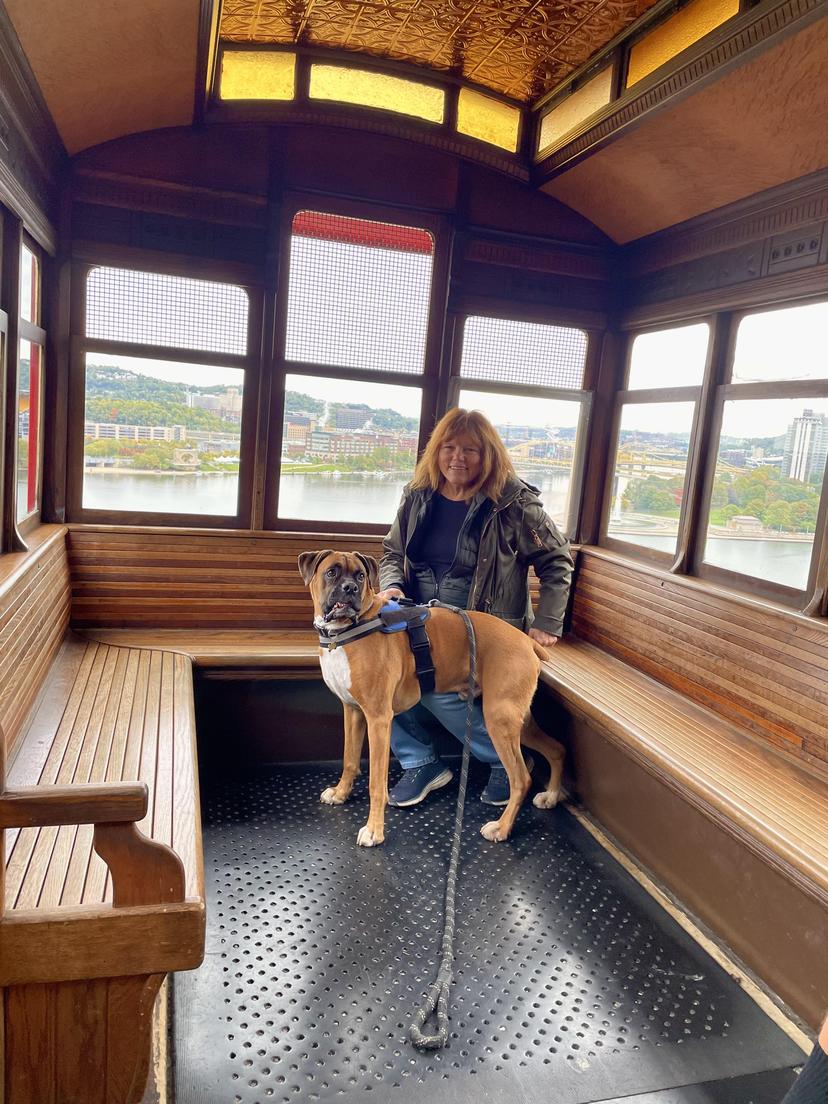 Pittsburgh's Top Dog Friendly Spots: Make It a Day With Your Furry