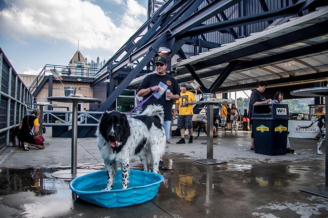 Pup-Night at PNC Park