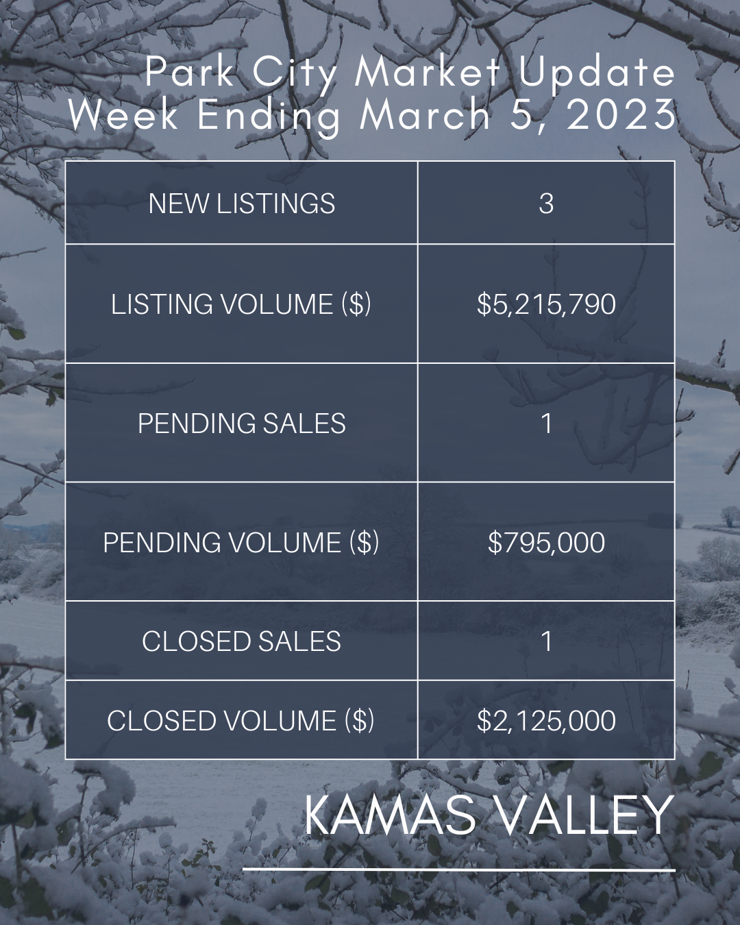 Image of Snow Covered Tree with Market Statistics form March 5, 2023