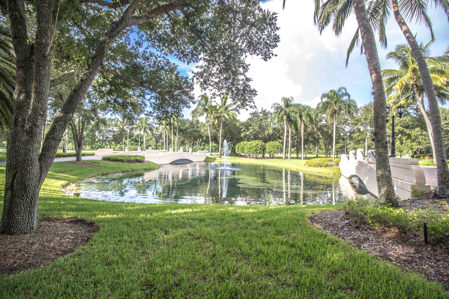 Island Walk Naples Fl Over 55