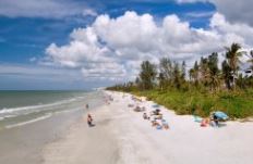 Isles of Collier Preserve in Naples, Florida.