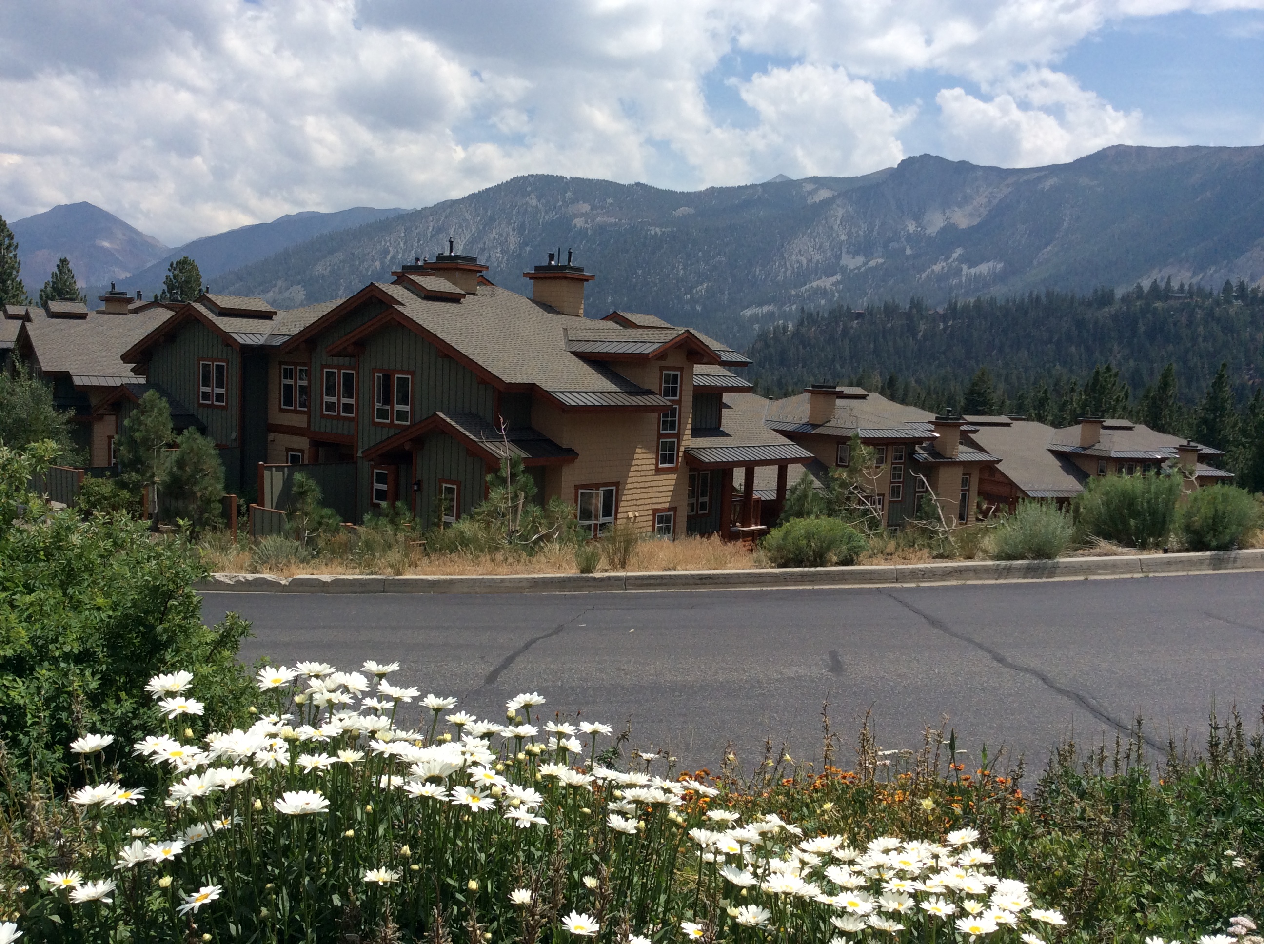 Mammoth Lakes Rental Income