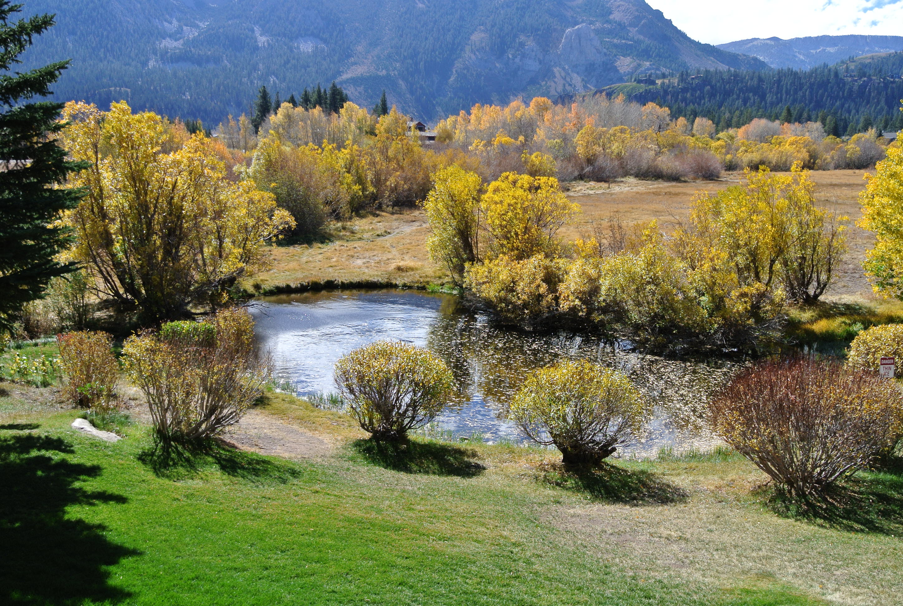 Fall Colors in the Snowcreek Meadow