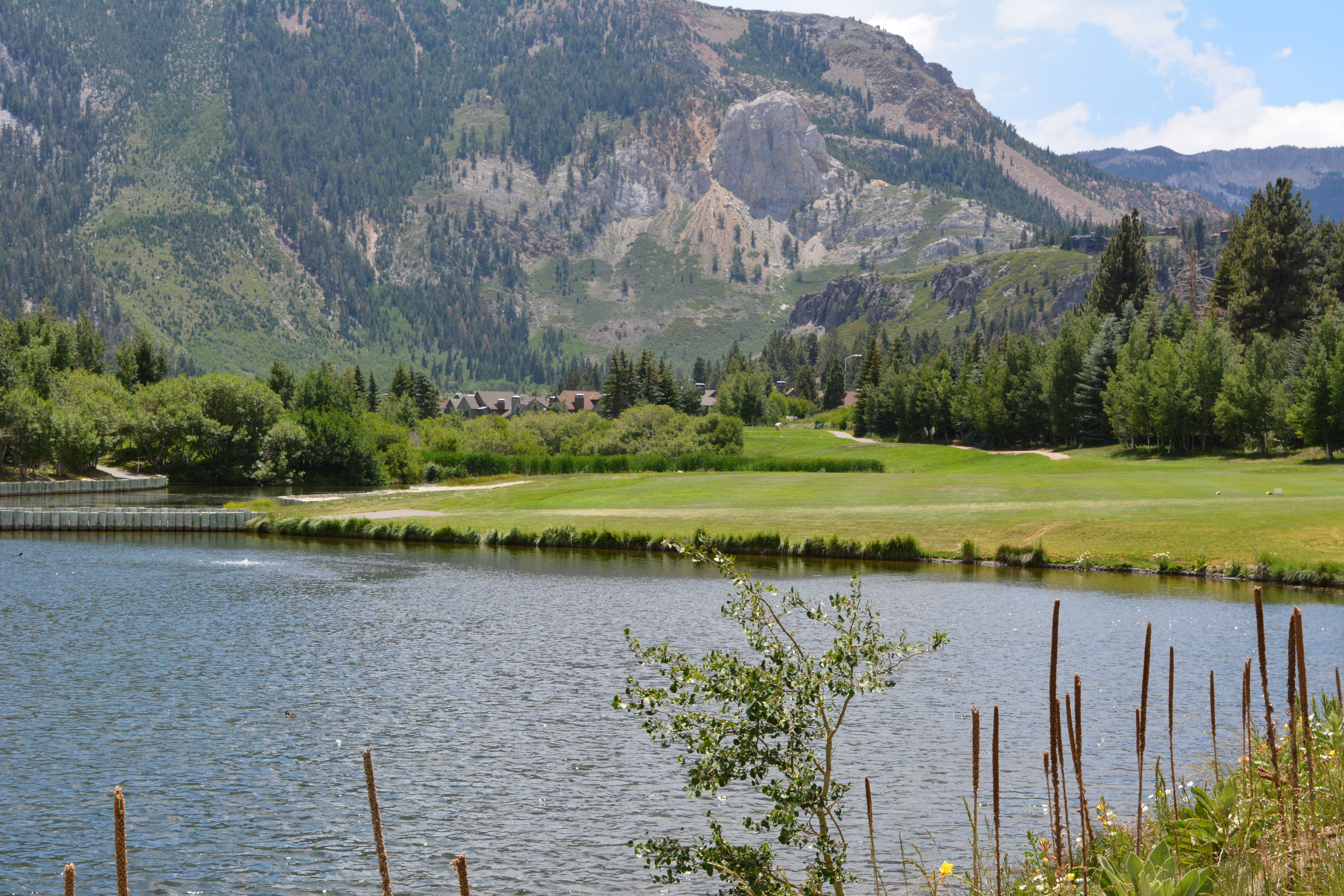 Green Meadows and Golf Course at Snowcreek