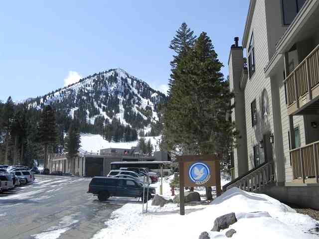 Snowbird Condos with Canyon Lodge in Background