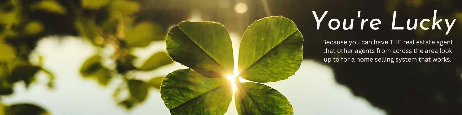 4 leaf clover - You are lucky to have Dwight Streu Real Estate Agent