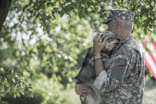 military_serviceman_holding_military_dog