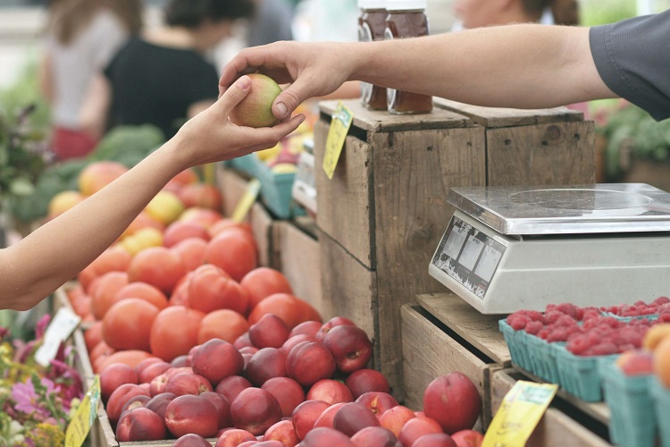 Farmers Markets in the Colorado Springs Area