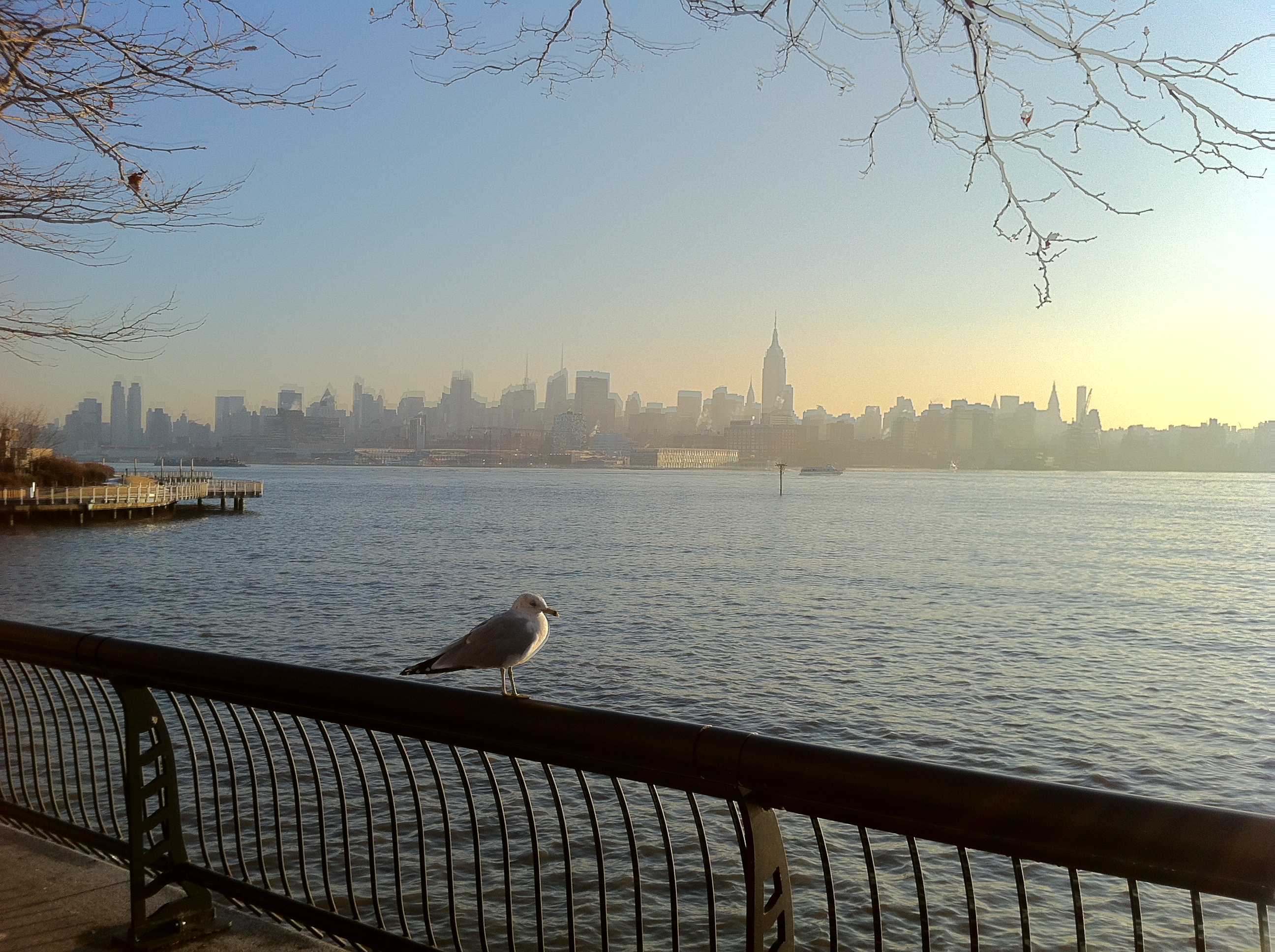 Hoboken New Jersey real estate waterfront luxury condos view of NYC Michael Kotler Hoboken Realtor
