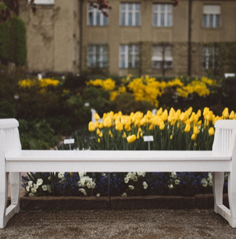 Green Spaces