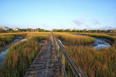 Pawleys Island SC Homes for Sale Pawleys Island SC Homes for Sale
