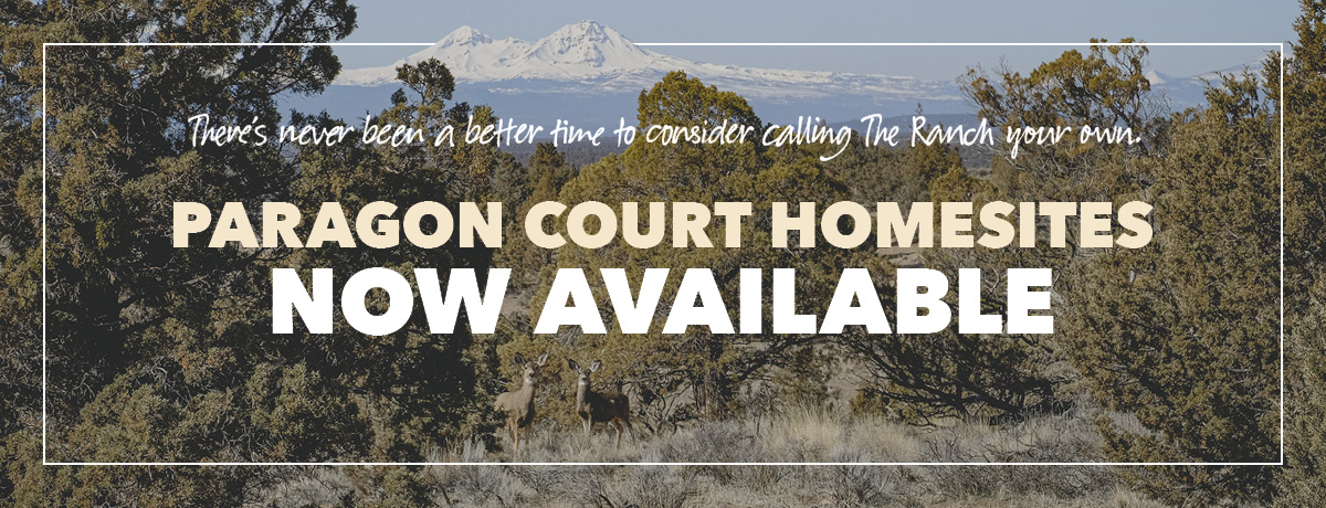 Paragon Ct Homesites Now Available