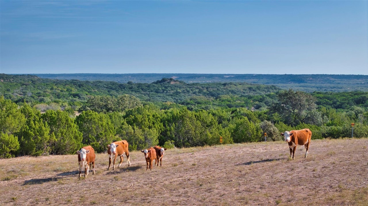Rochelle TX Hunting, Cattle Ranch for Sale | Longhorn Realty