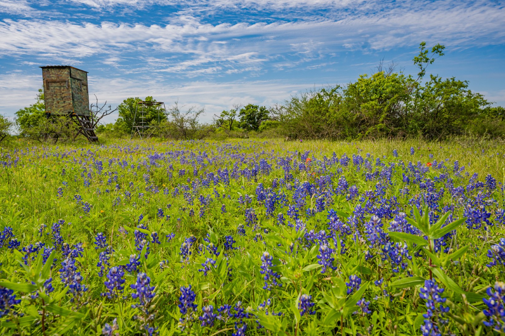 Texas Unrestricted Land and Ranches