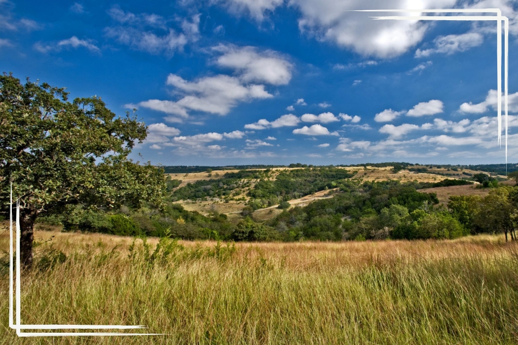Purchasing Ranch for sale in Texas Hill Country during pandemic